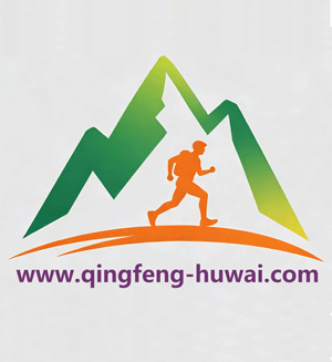 站点Logo