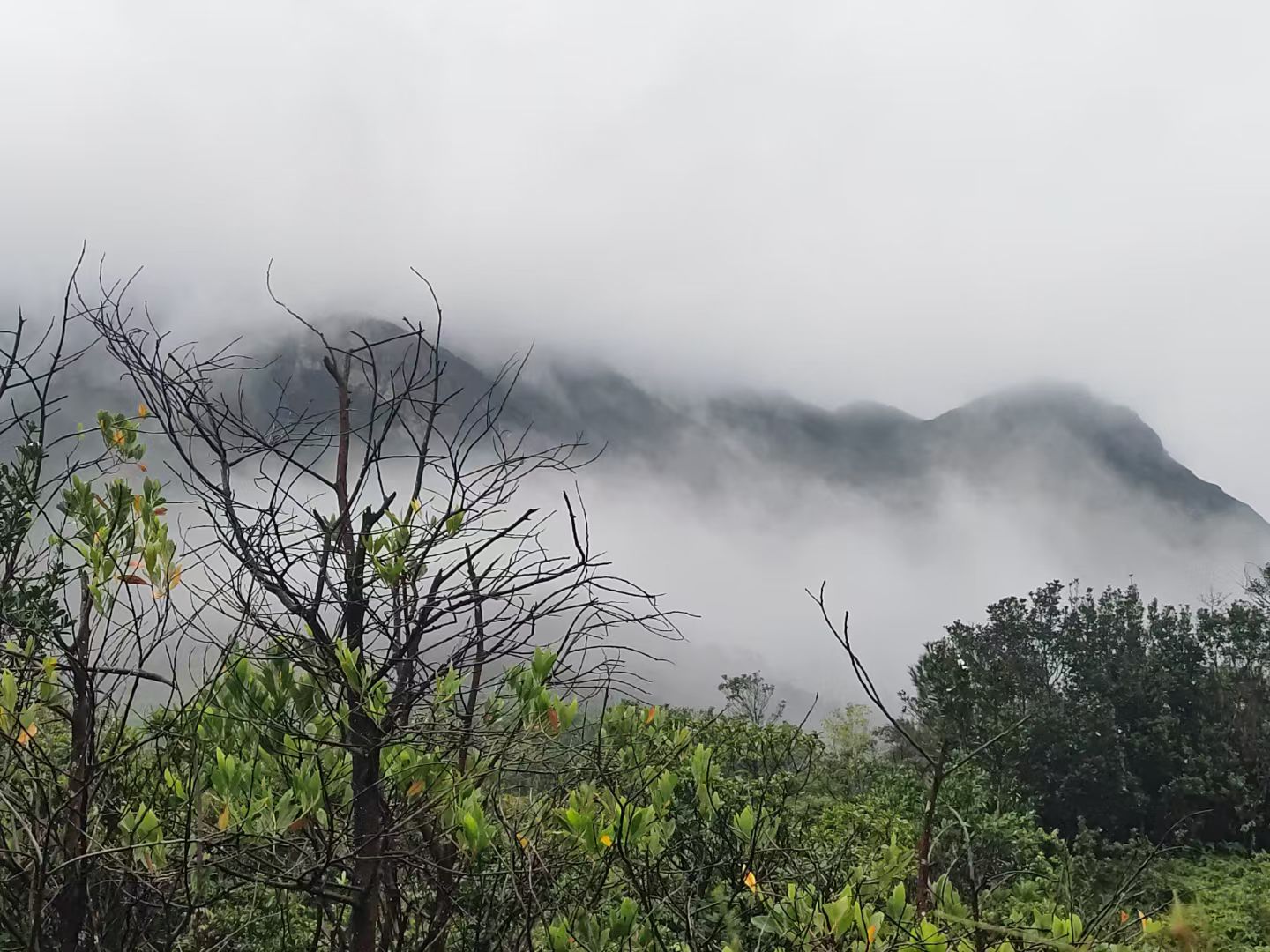活动风采照片