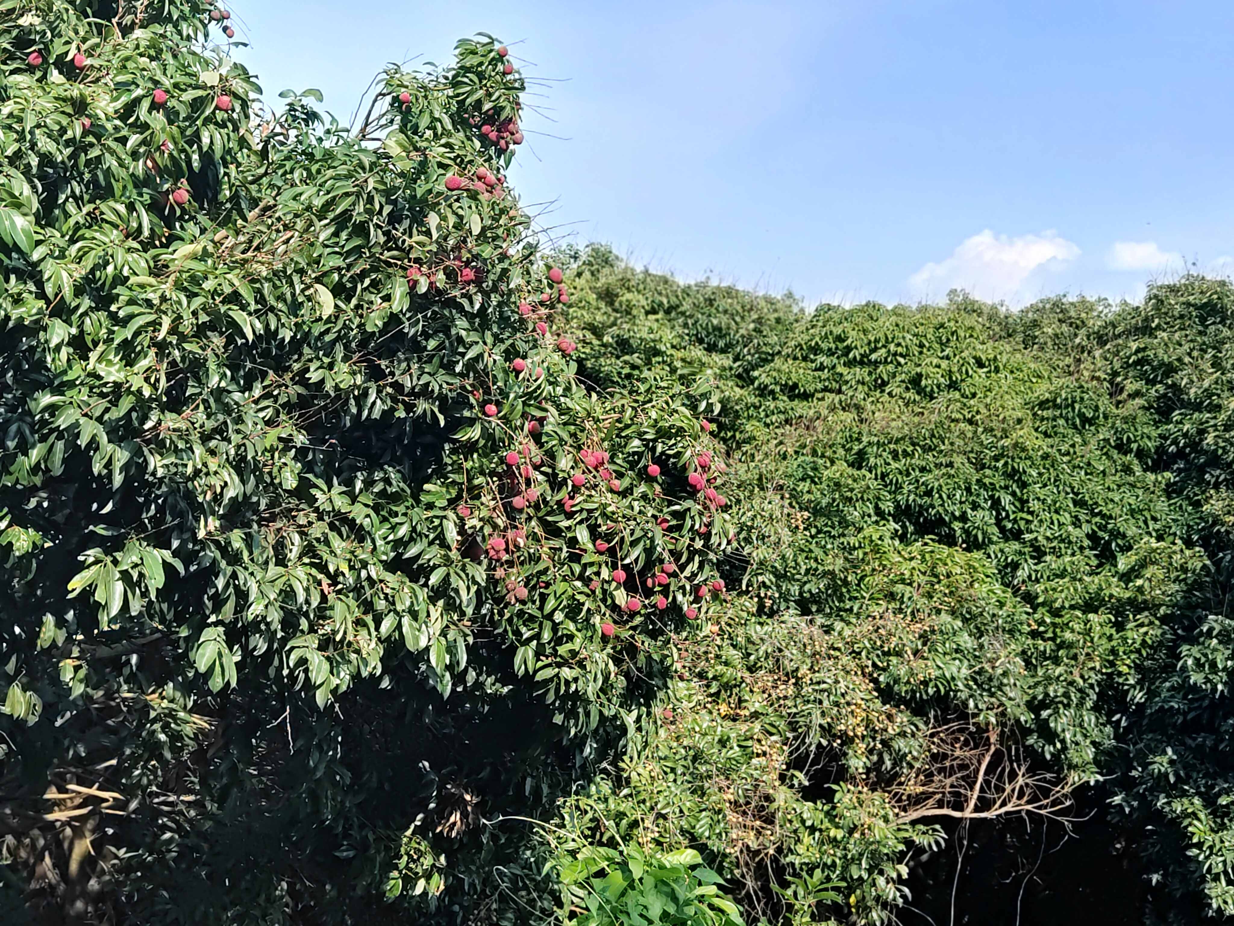 活动风采照片